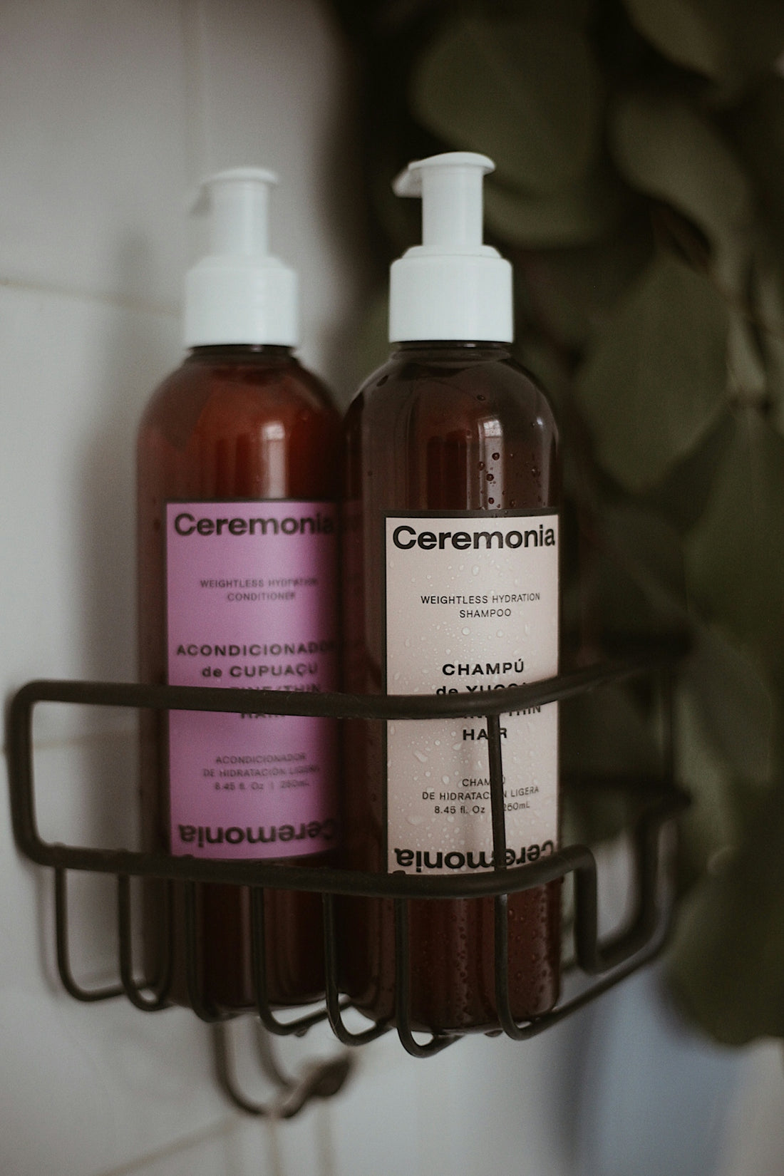 two bottles of shampoo and lotion sitting on a shelf