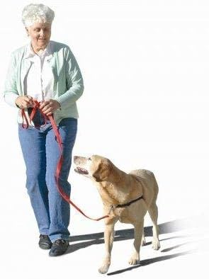 The Original Sense-ation No-Pull Dog Training Harness (Blue, Extra Large)