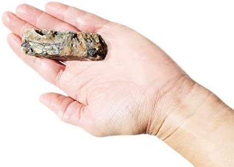 PLATO 3 Pack of Hundur's Crunch Single Ingredient Cod Skin Dog Treats, 10 Ounces Each