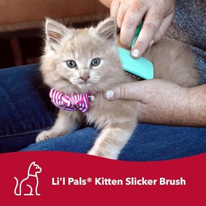 Coastal Pet Li'l Pals - Kitten Slicker Brush with Coated Tips