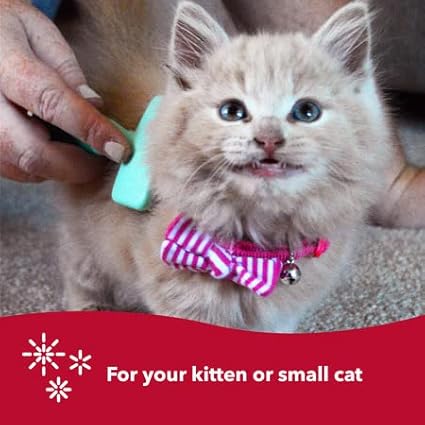 Coastal Pet Li'l Pals - Kitten Slicker Brush with Coated Tips