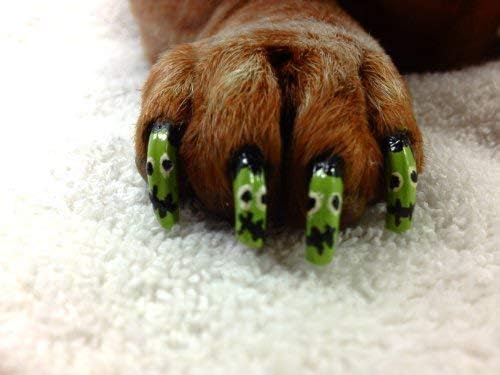 Warren London Pawdicure Dog Nail Polish Pens | Made in USA | Quick Dry, Low Odor, Non-Toxic Dog Accessories | Ideal for Dog Birthday, Dog Costume | 13 Colors | Neon Green