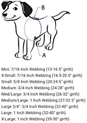 SENSE-ation No-Pull Dog Harness - Purple Small