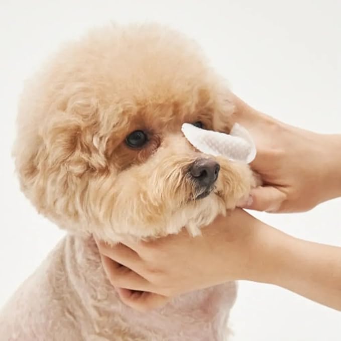 H&H Pets Disposable Finger-Style Ear & Facial Dry Wipes - Ultra Soft, Fragrance Free, Hypoallergenic, 60 Count