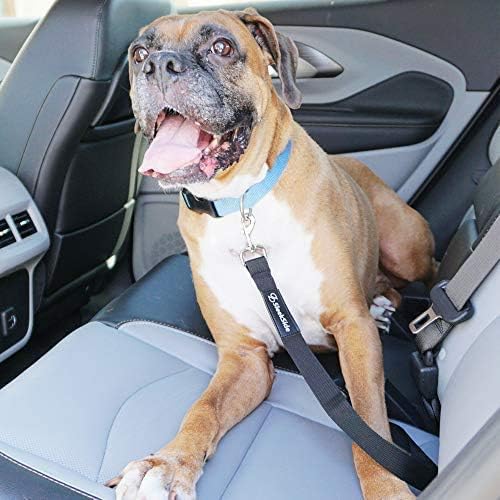 Dog Lift Sling Harness | Heavy Duty Adjustable Sling | Easy Full Body Mobility | Support for Elderly, Senior Dogs with Front/Rear Leg, Knee, Joint, Hip Injuries (XX-Large) Black