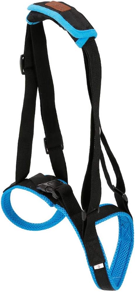 Adjustable Pet Dogs Lift Support Harness Breathable Mesh Padded Sling Straps Canine Support Rehabilitation for Injuries Arthritis Weak hind Legs & Joints, Blue (M)
