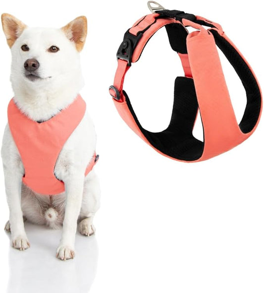 Gooby Lite Gear Z Harness - Scratch Resistant Ergonomic Harness with Shock Absorption - Head-in Harness for Small or Medium Dogs