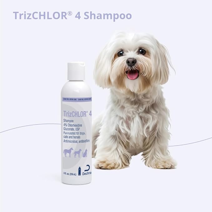 TrizCLHOR 4 Shampoo, 8 Ounce
