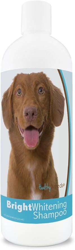 Healthy Breeds Nova Scotia Duck Tolling Retriever Bright Whitening Shampoo 12 oz