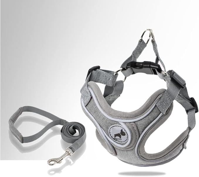 Dog Harness with Leash Set, No Pull Dog Harnesses with Breathable Padded Puppy Harness for Small Dogs Training and Running(XS, Gray)