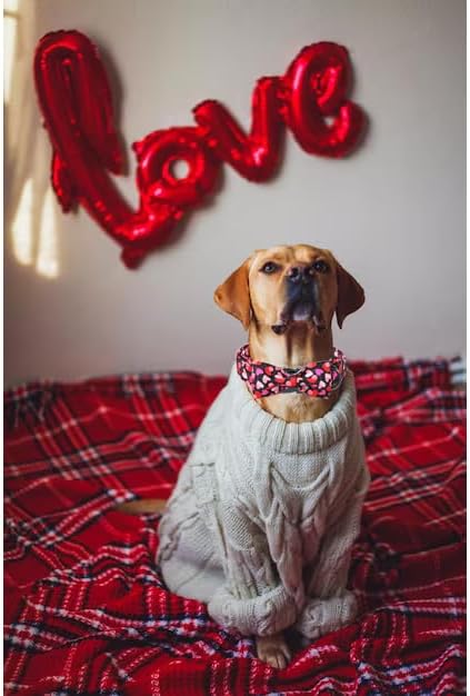 Unique Style Paws Valentine's Day Dog Collar with Bow Colorful Heart Love Dog Collars for Small Medium Large Dog New (L, Black Bow)