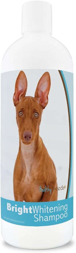 Healthy Breeds Cirnechi dell'Etna Bright Whitening Shampoo 12 oz