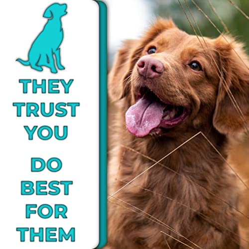 H&H Pets Bath Scrubber with Soap Dispenser - Grooming Massage Brush Kit for Dogs & Cats, Pet Accessories - Silicone Scrubbing Brush