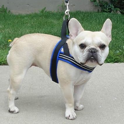 ComfortFlex Sport Harness - American Made No Pull Dog Harness Medium Sized Dog - Lightweight, Padded, Reflective No Rub Harness for Walking, Running and Control - Medium, Blue Jay