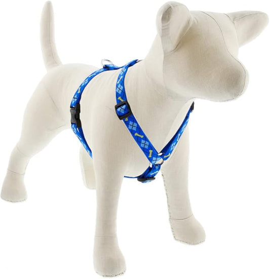 LupinePet Originals 3/4" Dapper Dog 20-32" Adjustable Roman Dog Harness for Medium Dogs