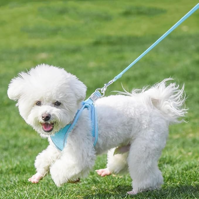 AIITLE Easy Walk Dog Harness and Leash Set - Pet Supply No Pull, Step in Adjustable Dog Harness with Padded Vest for Spring, Dog Harness No Choke Over, Easy to Put on Medium Dogs Pure Blue L
