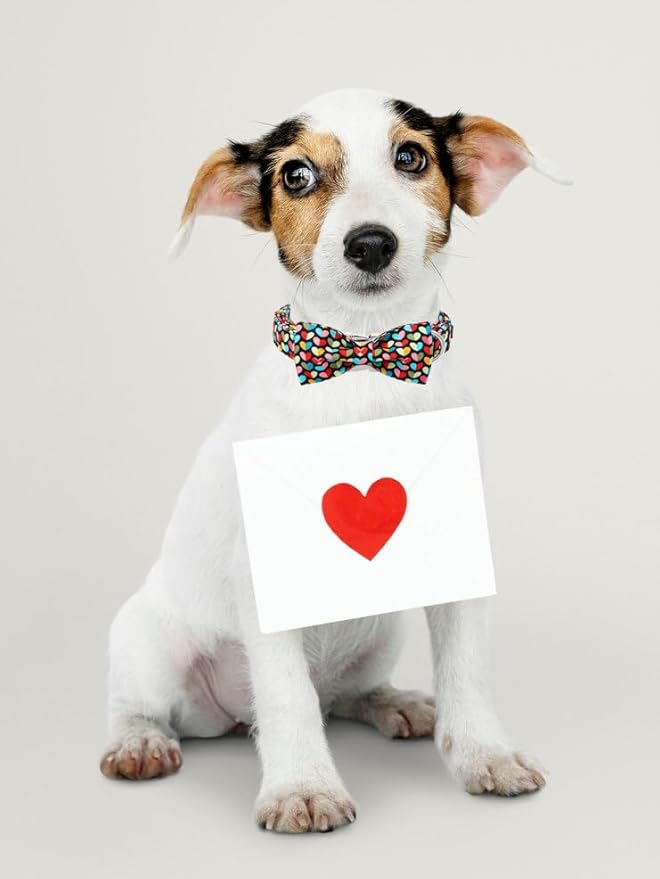 Unique Style Paws Valentine's Day Dog Collar with Bow Colorful Heart Love Dog Collars for Small Medium Large Dog New (L, Heart Bow)