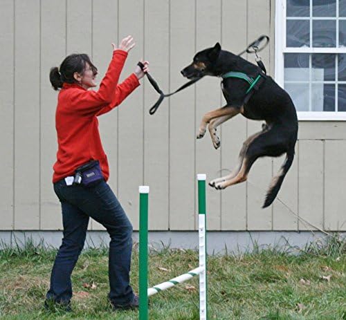 ComfortFlex Sport Harness - American Made No Pull Dog Harness for Small, Medium, Large Dogs - Padded, Reflective No Rub Harness for Walking, Running and Control - Medium/Large, Saffron Yellow