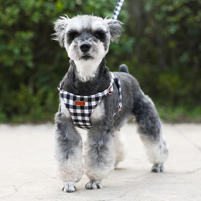 Small Dog Harness and Leash Set, Plaid Puppy Dog Harness XXS, Soft Adjustable Harness for Extra Small-Medium Pet Dogs and Cat No Pull, Black Plaid, Medium