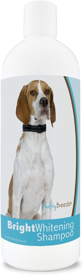 Healthy Breeds English Pointer Bright Whitening Shampoo 12 oz