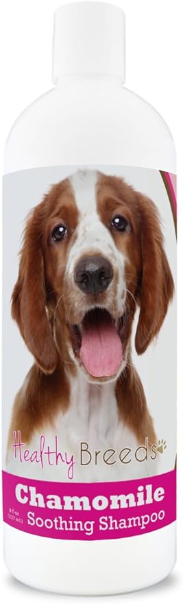Healthy Breeds Welsh Springer Spaniel Chamomile Soothing Dog Shampoo 8 oz
