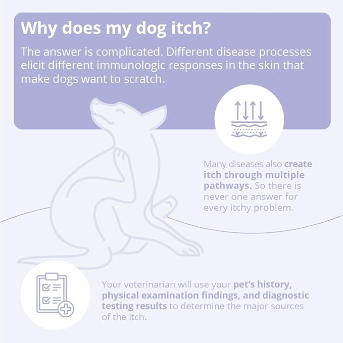 TrizCLHOR 4 Shampoo, 8 Ounce