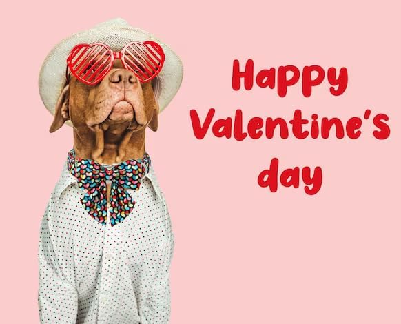 Unique Style Paws Valentine's Day Dog Collar with Bow Colorful Heart Love Dog Collars for Small Medium Large Dog New (S, Heart Bowtie)