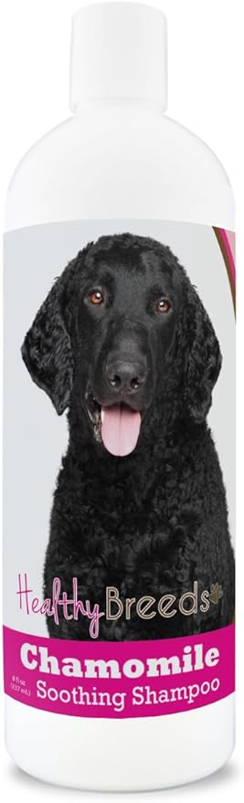 Healthy Breeds Curly-Coated Retriever Chamomile Soothing Dog Shampoo 8 oz