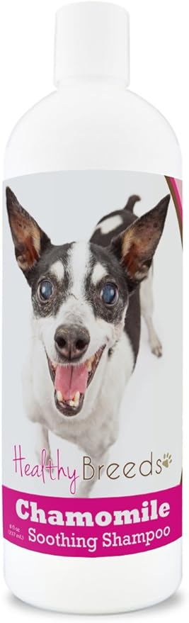 Healthy Breeds Rat Terrier Chamomile Soothing Dog Shampoo 8 oz