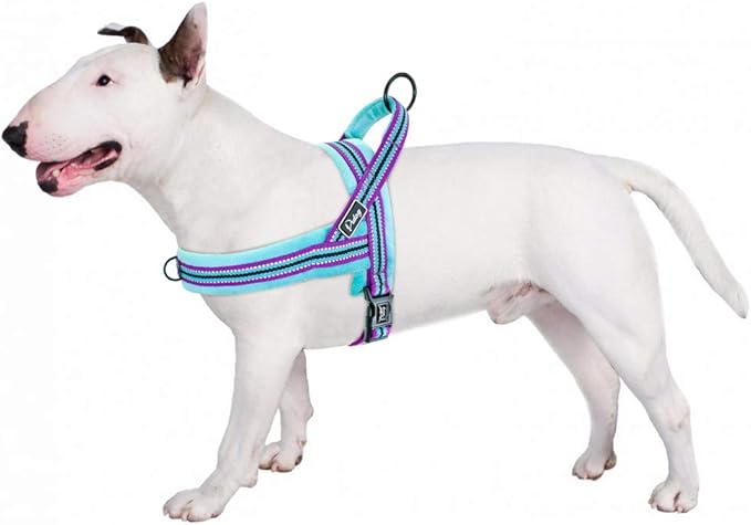 Didog Soft Flannel Padded Dog Vest Harness, Escape Proof/Quick Fit Reflective Dog Strap Harness,Easy for Walking Training (M:Chest 21-26", Mixed-Blue)