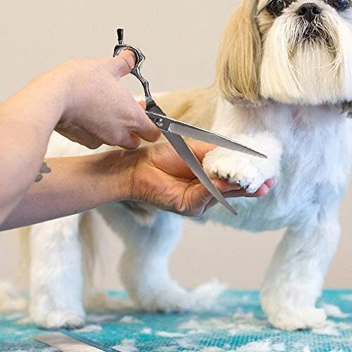 Grooming Pet Shear, 6.5 Inch Upword Curved Scissors, Curved Shears for Cat Shears and Small Dog Shears Or Any Breed Trimming Cuts, Design for Professional Pet Groomer