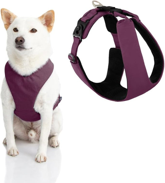 Gooby Lite Gear Z Harness - Scratch Resistant Ergonomic Harness with Shock Absorption - Head-in Harness for Small or Medium Dogs
