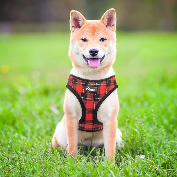 PUPTECK Soft Mesh Dog Harness and Leash Set Pet Puppy Cat Comfort Padded Vest No Pull Harnesses, Red&Black, L