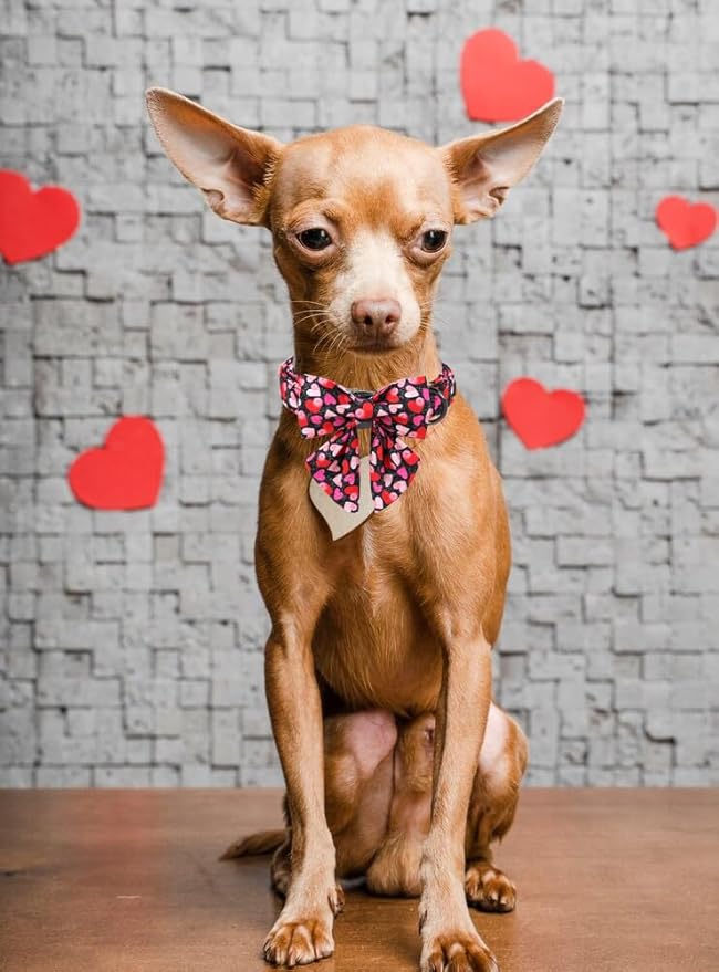 Unique Style Paws Valentine's Day Dog Collar with Bow Colorful Heart Love Dog Collars for Small Medium Large Dog New (XL, Black Bowtie)