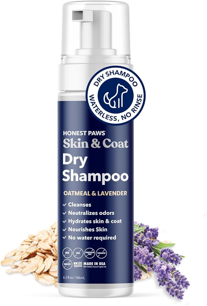 Honest Paws Dog Dry Shampoo - Waterless No Rinse Foaming Formula Reducing Itch Cleanse Hydrate Nourish Dry Skin and Smelly Coat Help Decrease Odor Shedding and Allergies - Oatmeal & Lavender - 6.3 oz