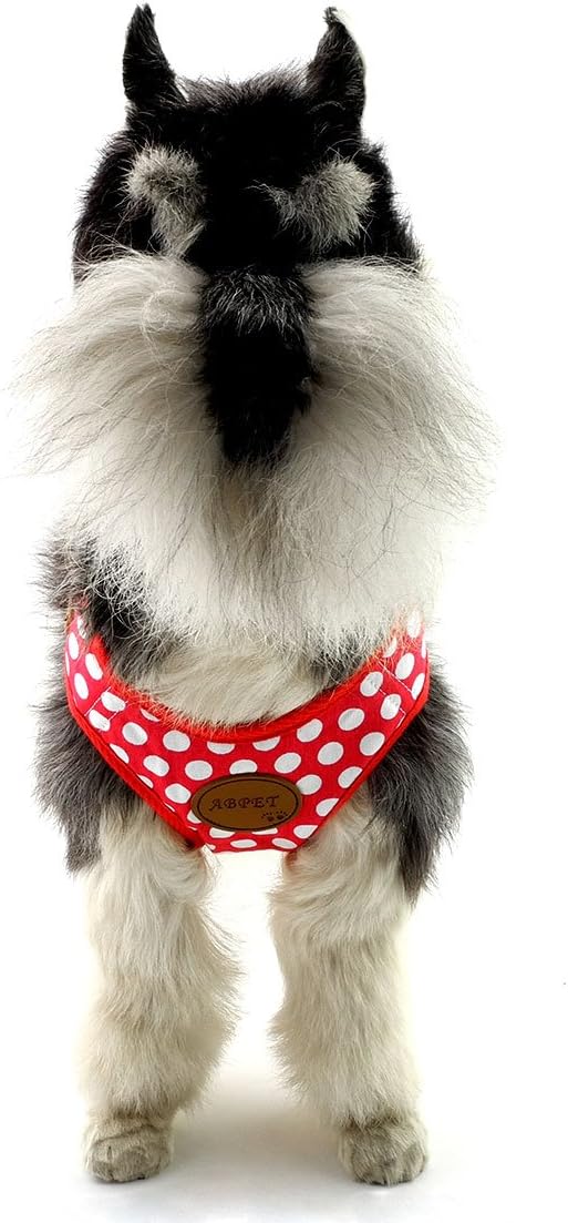 SMALLLEE_LUCKY_STORE New Soft Mesh Nylon Vest Pet Cat Small Medium Dog Harness Dog Leash Set Leads Red, M Chest:11.5"-15.5",Weight 6.5-11lbs (CWYP00068-Red-M)