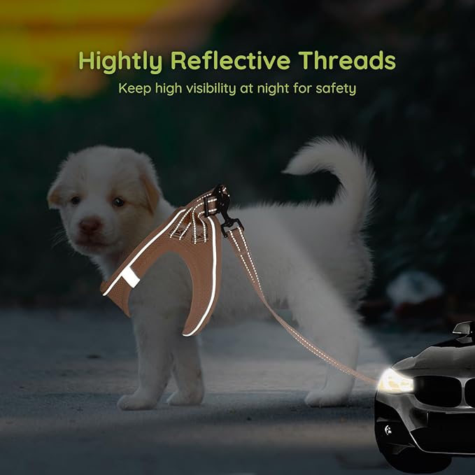 BELLA & PAL Puppy Harness with Leash Set, Dog Harness for Small Dogs No Pull, Dog Leash for Small Dogs, Step in Harness for Extra Small Dogs, Peach Harness, L