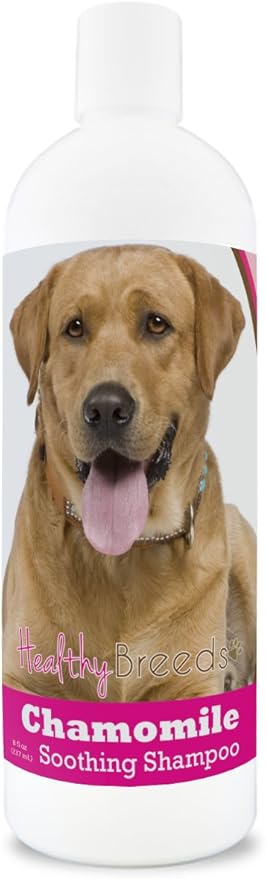 Healthy Breeds Labrador Retriever Chamomile Soothing Dog Shampoo 8 oz