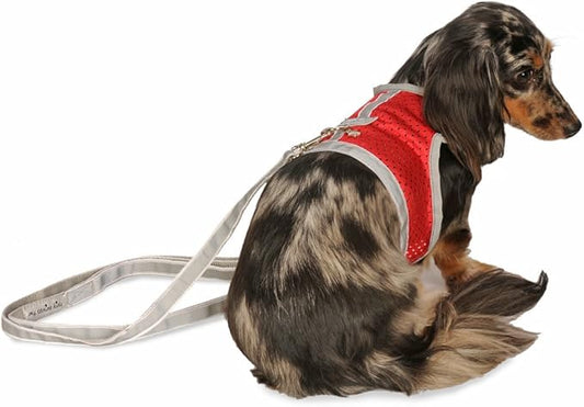 Athletic Mesh Dog Harness for Teacup, Small - Small Dogs and Puppies | Reflective Trim and Comfortable Velcro Closure