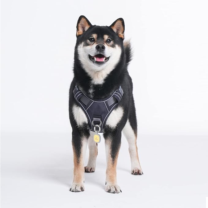 Pawaii Dog Harness for Small Dogs, Dog Harness with Pet ID Tag, No Choke Dog Harness, Adjustable Soft Padded Pet Vest with Easy Control Handle