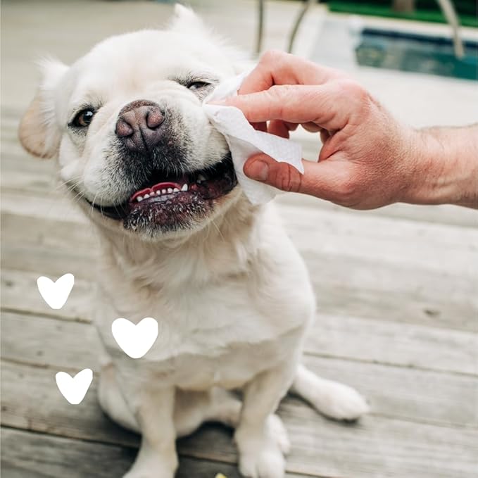 earthbath, Hypo-Allergenic Pet Eye Wipes - Fragrance Free Tear Stain Remover for Dogs Cats, Puppies and Kittens, Made in USA, 100% Cruelty Free - 30 Count (2 Pack)