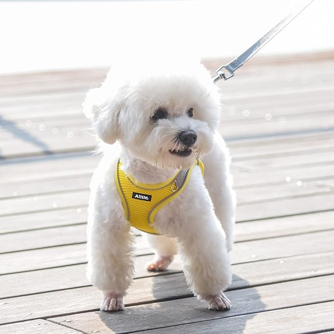 AIITLE Easy Walk Dog Harness and Leash Set - Pet Supply No Pull, Step in Adjustable Dog Harness with Padded Vest for Spring, Dog Harness No Choke Over, Easy to Put on Medium Dogs Yellow L