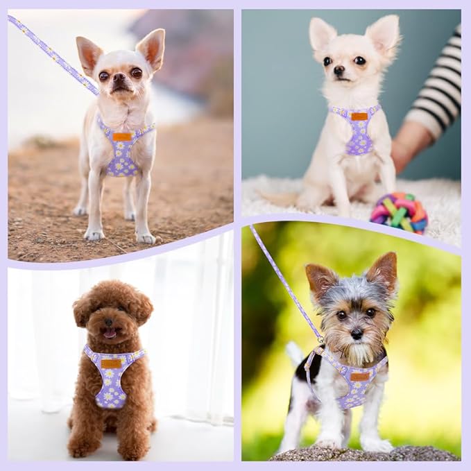 SlowTon No Pull Dog Harness with Leash - Soft Lightweight Floral Pattern Puppy Harness, Adjustable Pet Harness for Small Medium Dogs Doggie (Purple M)