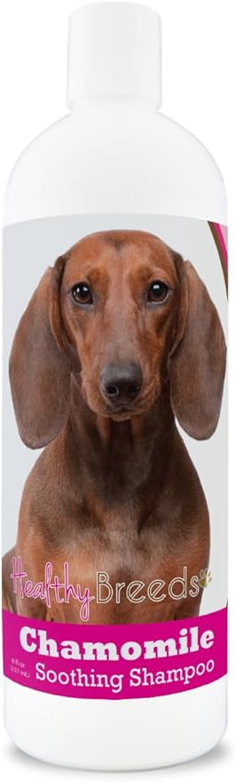 Healthy Breeds Dachshund Chamomile Soothing Dog Shampoo 8 oz