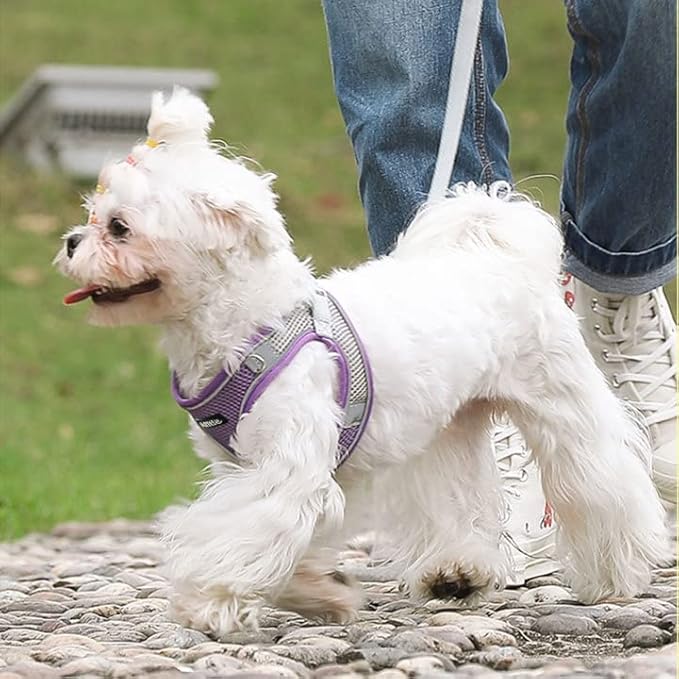 AIITLE Escape Proof Dog Harness - Step in Adjustable Dog Harness No Choke Over with Breathable Mesh and Quick-Release Buckle for Spring- Outdoor Walking, Camping, Training for Medium Dogs Purple XL