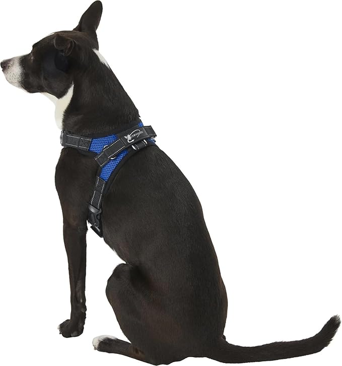 Dog Harness Small Sized Dog - All Weather Mesh overhead adjustable no pull Vest Puppy reflective Harness with handle for Small and Medium Dogs by Copatchy - Harness (Blue) Small