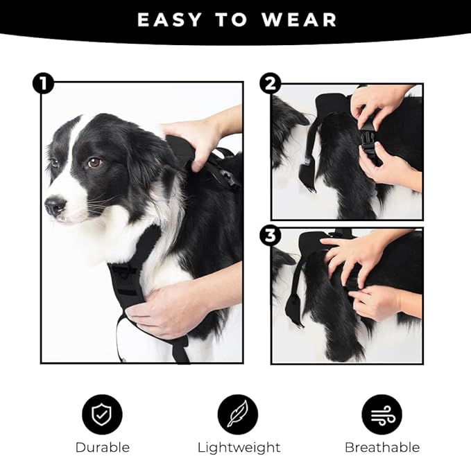 H C USA No Pull Dog Harness with Dog Leash Retractable – Adjustable Dog Harness for Large Dogs with Integrated Leash - Dog Harness and Leash Set with Anti Slip Soft Handle – Comfortable and Safe