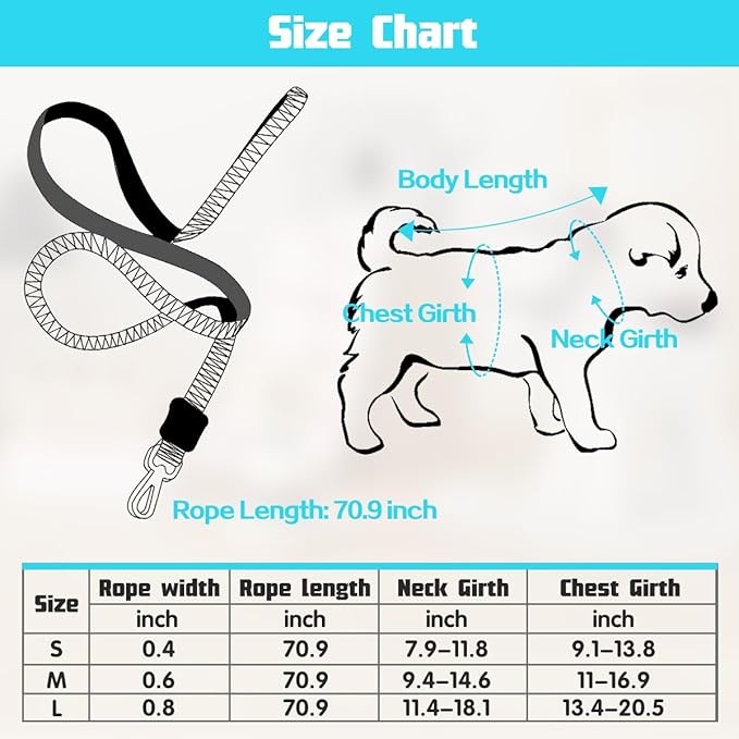 Leashes Set Pet Walking Training Pet Summer Set Adjustable for Small Medium Large Dogs Cute Dog Harness Puppy Harness Soft Small Dog Vest for Girl Easy Control Dog Vest Harness Bee(Blue,L)