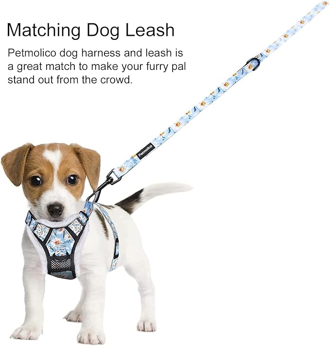 Petmolico Floral Dog Harness and Leash, No Pull Fleece Dog Harness with 2 Leash Clips and Easy Control Handle for Small Dogs, Small Daisy