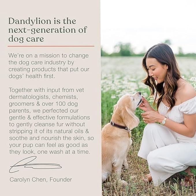Dandylion Fresh Coat No Rinse Dog Shampoo | Waterless Daily Cleansing Spray for Clean & Fresh Coat | Gentle & Cruelty-Free Dry Shampoo for Dogs | Plant-Based, Fragrance Free & Vet Approved | 8.4 fl oz